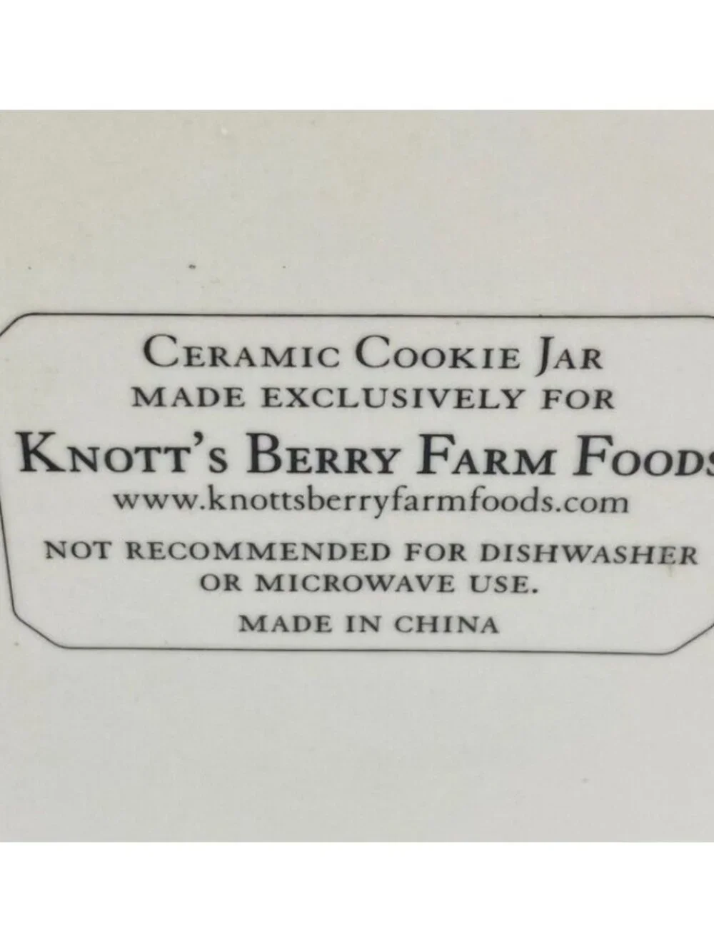 Knott's Berry Farm STRAWBERRY BLUEBERRIES Floral Ceramic Ivory 10